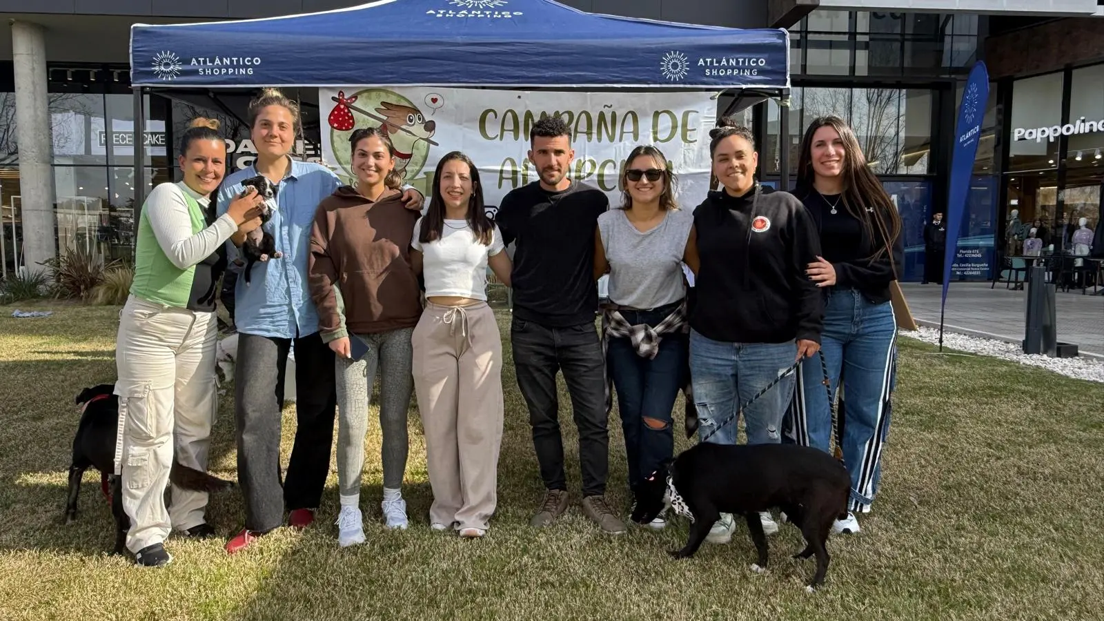 cachorros jugando mientras su madre mira desde atras